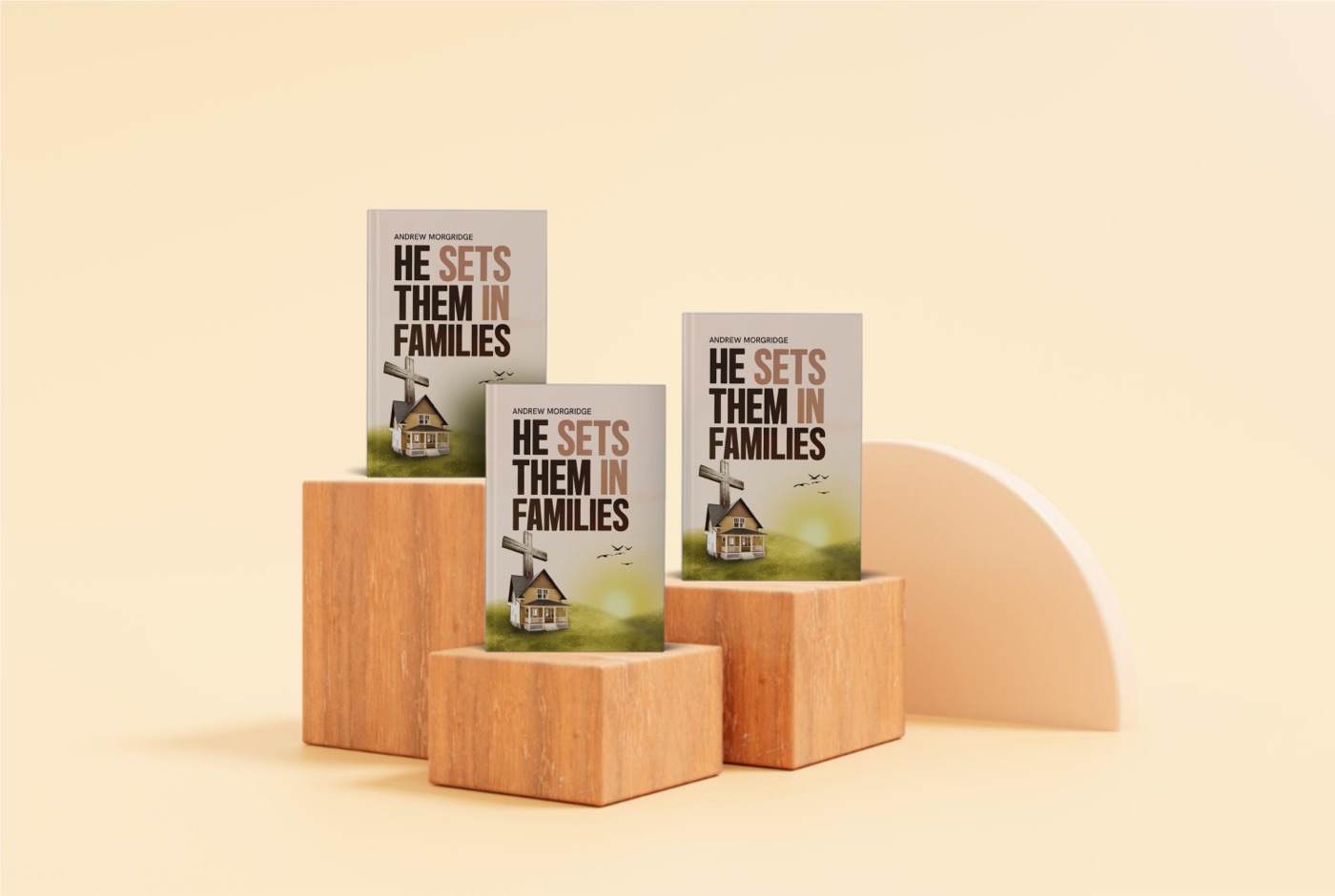 Copies of He Set Them In Families